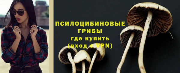 МДПВ Няндома